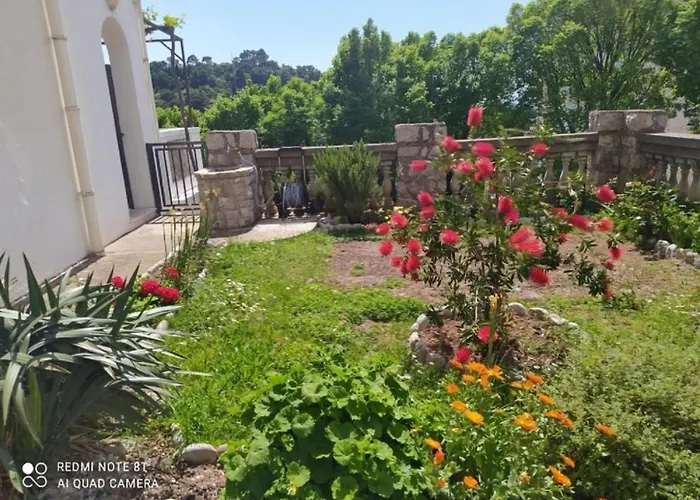 Apartmani Jovanovic