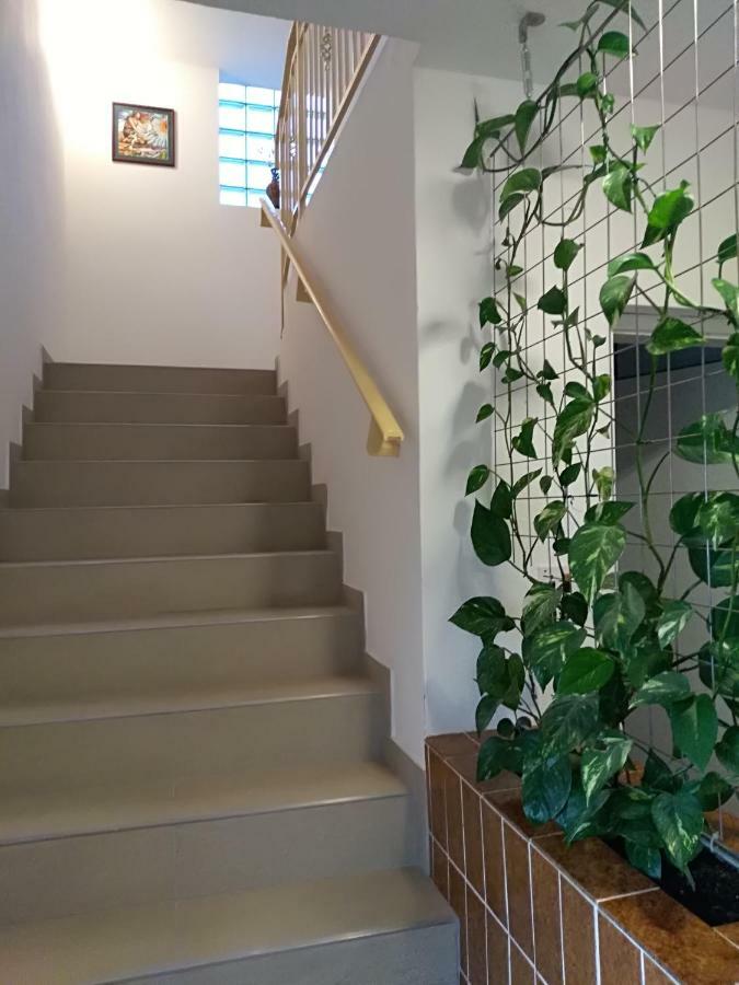 Apartman Jovanovic