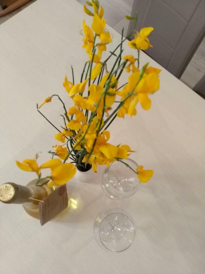 Apartman Jovanovic *